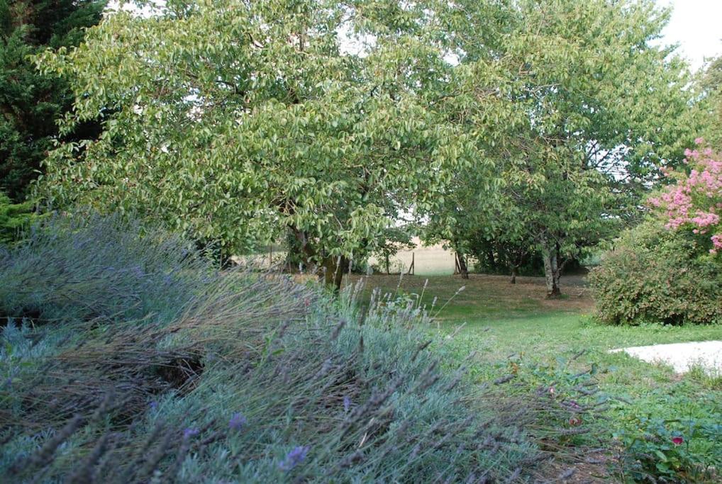 Uniquely Private Holiday Villa In The Charente Puyreaux Eksteriør billede